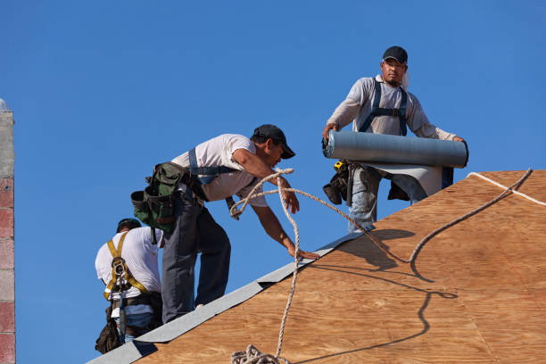 Best Gutter Installation and Roofing  in Cupertino, CA